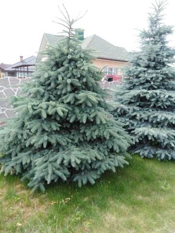 Фото номера Дом для отпуска Дома для отпуска Holiday home on Koshevogo 21 г. Белоозерск 34